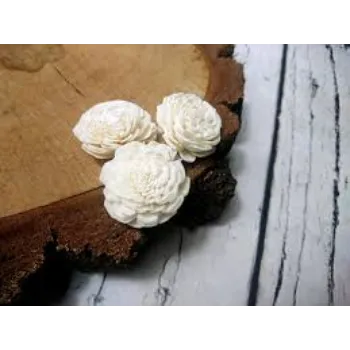 Perfect Shola Flower